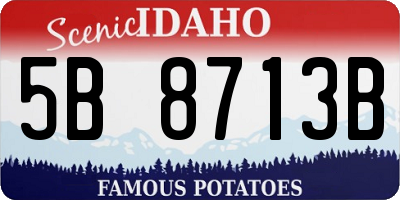 ID license plate 5B8713B