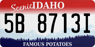 ID license plate 5B8713I