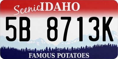 ID license plate 5B8713K