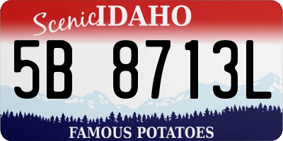 ID license plate 5B8713L