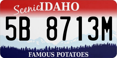 ID license plate 5B8713M