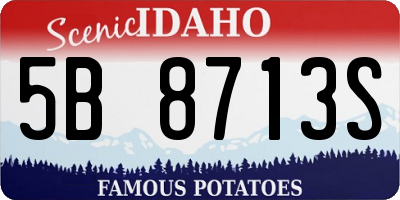 ID license plate 5B8713S