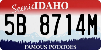 ID license plate 5B8714M