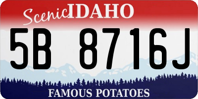 ID license plate 5B8716J