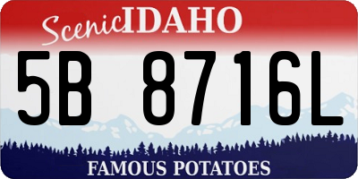 ID license plate 5B8716L