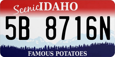 ID license plate 5B8716N
