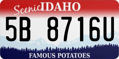 ID license plate 5B8716U