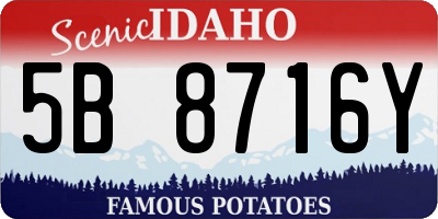 ID license plate 5B8716Y