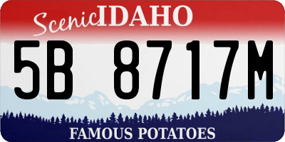 ID license plate 5B8717M