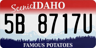 ID license plate 5B8717U