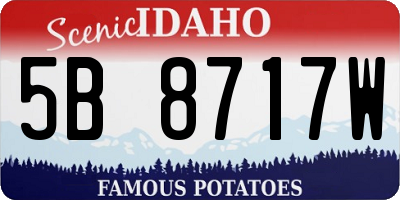ID license plate 5B8717W