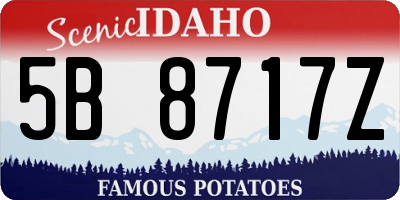 ID license plate 5B8717Z