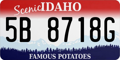 ID license plate 5B8718G