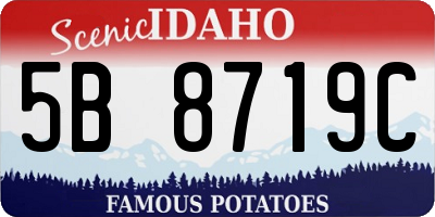 ID license plate 5B8719C