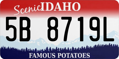 ID license plate 5B8719L