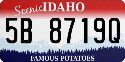 ID license plate 5B8719Q