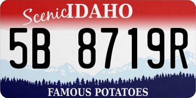 ID license plate 5B8719R