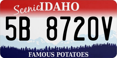 ID license plate 5B8720V