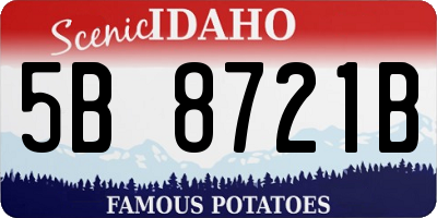 ID license plate 5B8721B