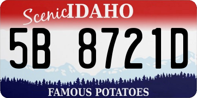 ID license plate 5B8721D