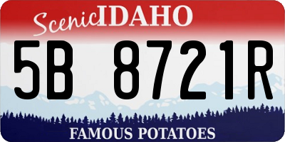 ID license plate 5B8721R