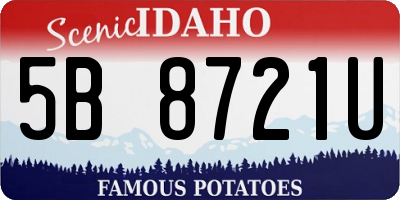 ID license plate 5B8721U