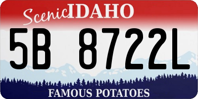 ID license plate 5B8722L
