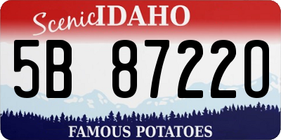 ID license plate 5B8722O