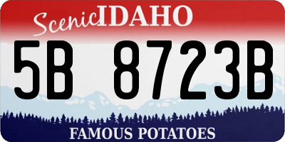 ID license plate 5B8723B
