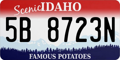 ID license plate 5B8723N