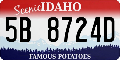 ID license plate 5B8724D