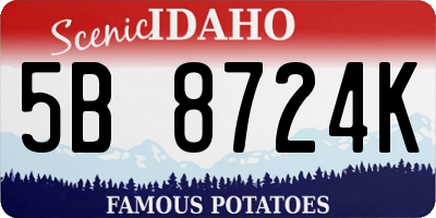 ID license plate 5B8724K