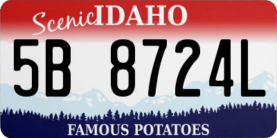 ID license plate 5B8724L