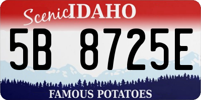 ID license plate 5B8725E