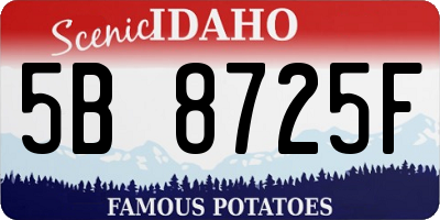 ID license plate 5B8725F