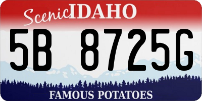 ID license plate 5B8725G