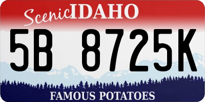 ID license plate 5B8725K