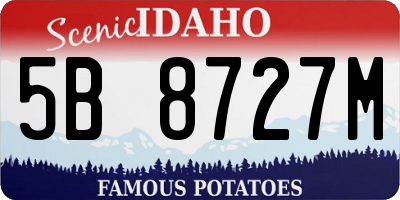 ID license plate 5B8727M