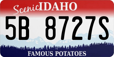 ID license plate 5B8727S