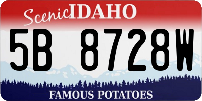 ID license plate 5B8728W