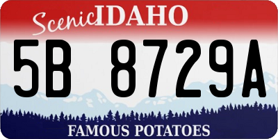 ID license plate 5B8729A