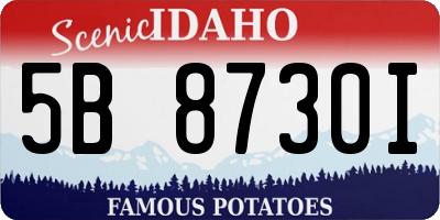 ID license plate 5B8730I