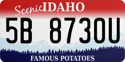 ID license plate 5B8730U