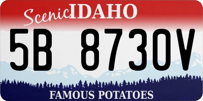 ID license plate 5B8730V