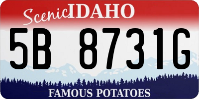 ID license plate 5B8731G