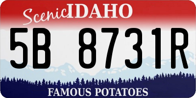 ID license plate 5B8731R
