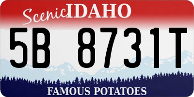 ID license plate 5B8731T