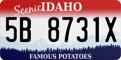 ID license plate 5B8731X