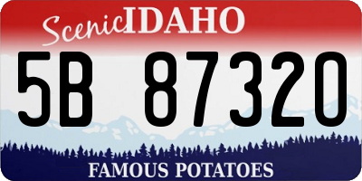 ID license plate 5B8732O
