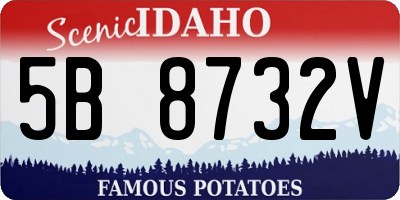 ID license plate 5B8732V